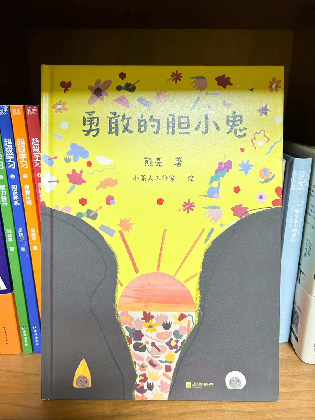 一本关于爱、勇气与克服恐惧的冒险故事