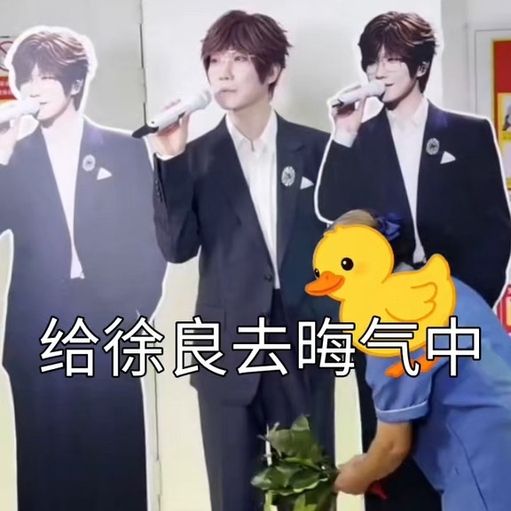 我也想当柚子叶