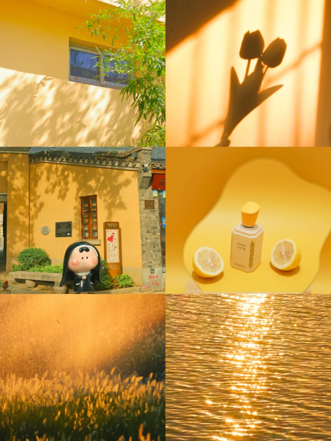 手机调色/日常碎片这样调色氛围感满满！