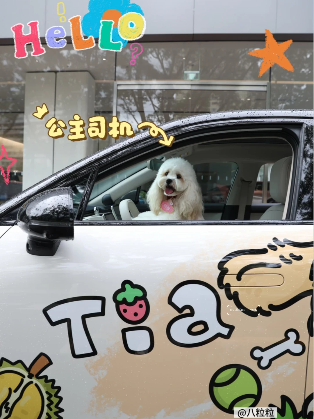 谁会有这样的司机啊❓