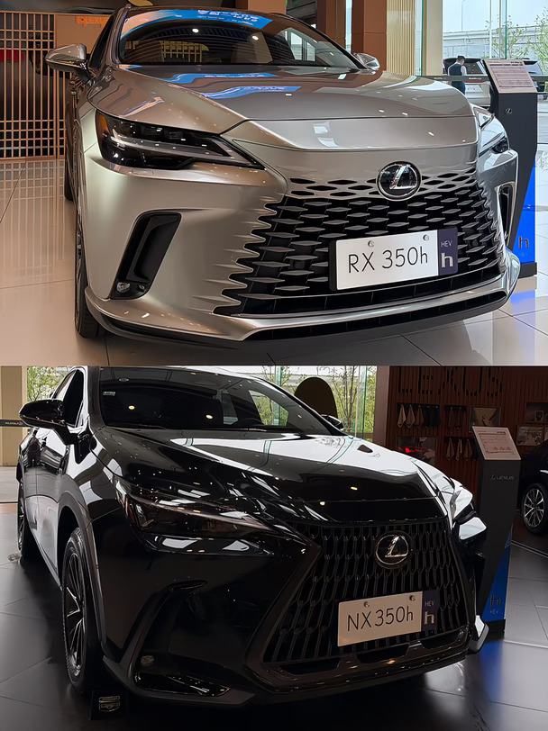 别硬上大SUV❗雷克萨斯NX vs RX怎么选？