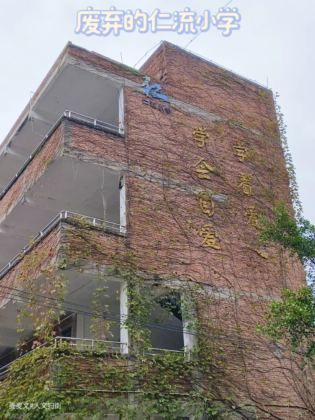 【巴南】小众废墟~被时光封存的仁流小学校