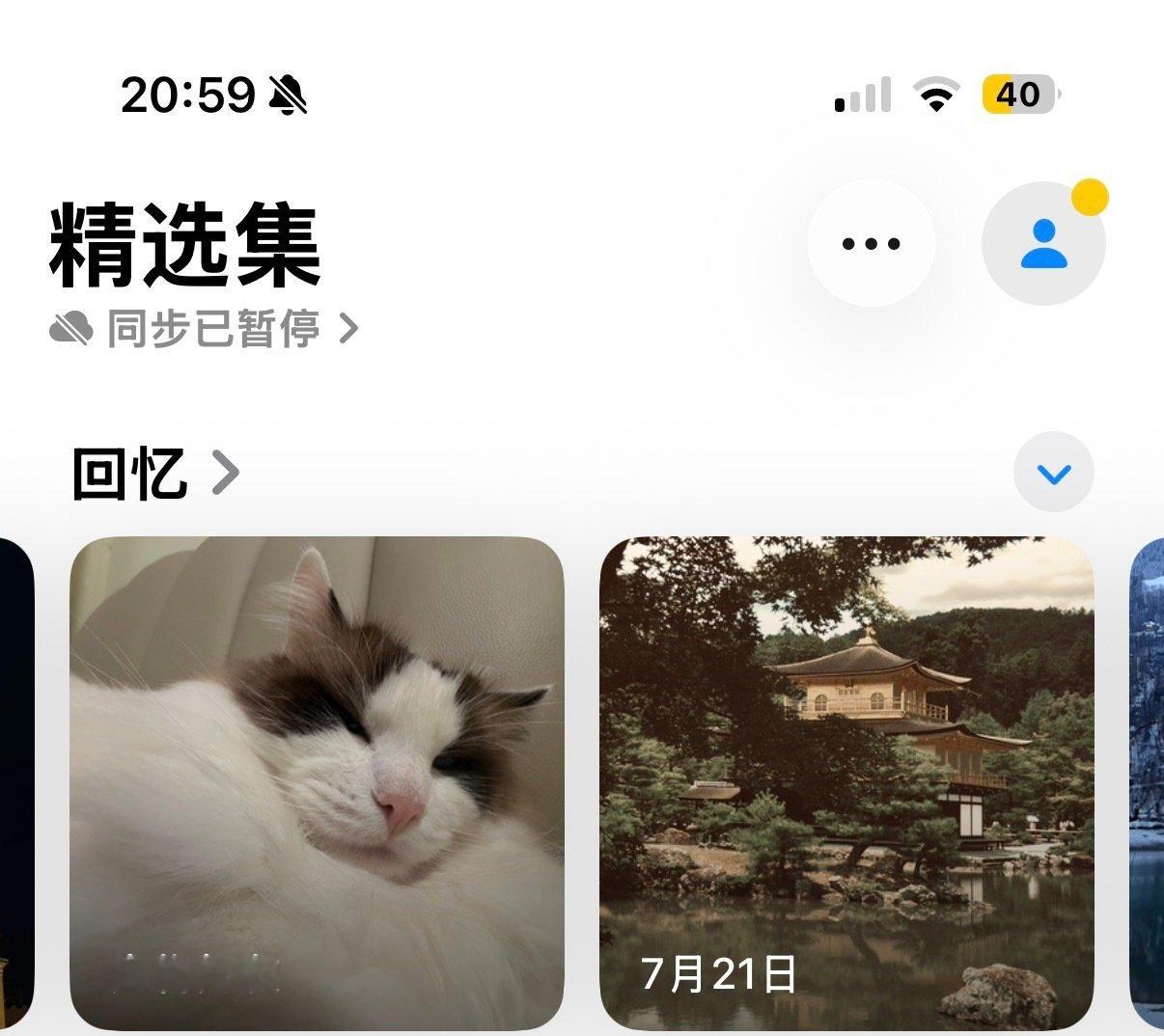 才发现苹果相册把猫智能分类到宠物好友这个栏目，可爱🥰 ​