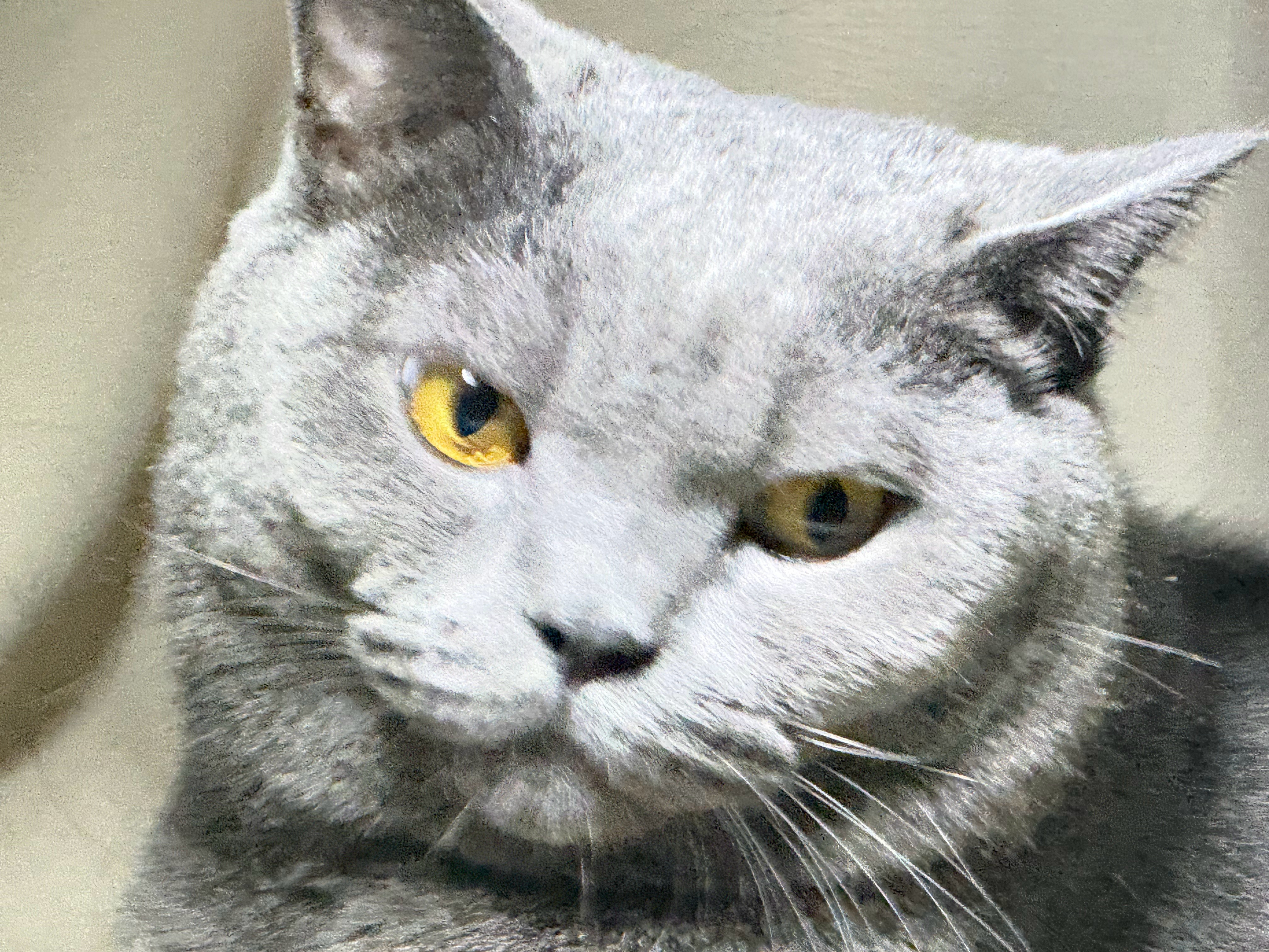 ☼最好的时光在路上，一路向阳，早安 ​​​
