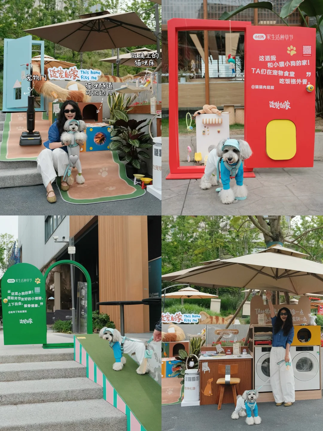 五一成都逛展｜毛孩子说这才适我的家🏠