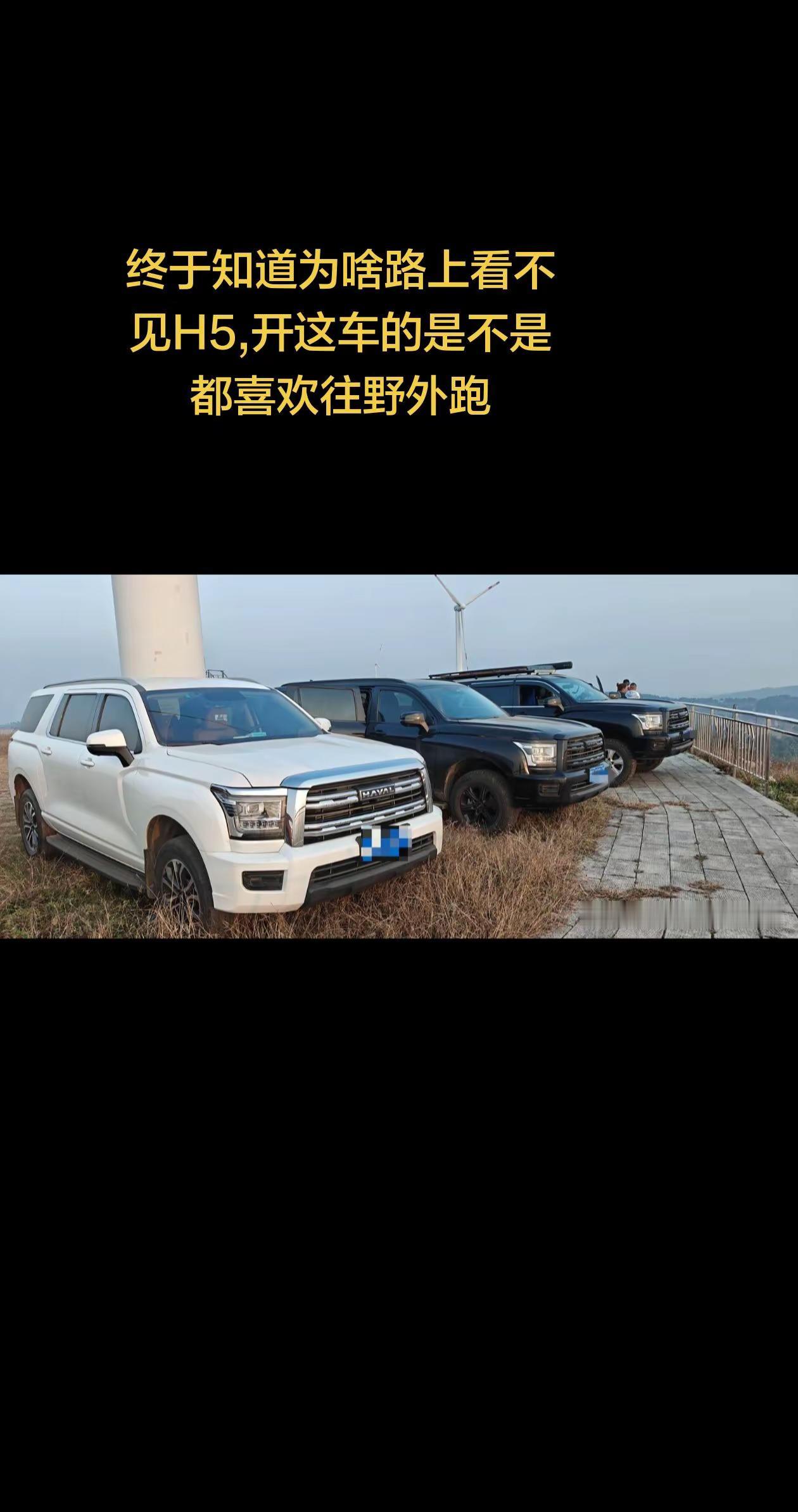 终于知道为啥路上看不见H5,开这车的是不是都喜欢往野外跑