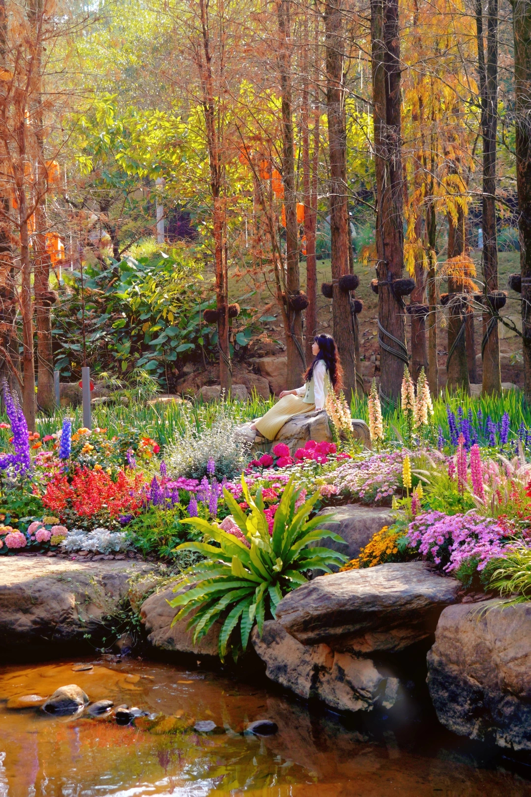 别挤云台花园！广州版梦游仙境云萝植物园