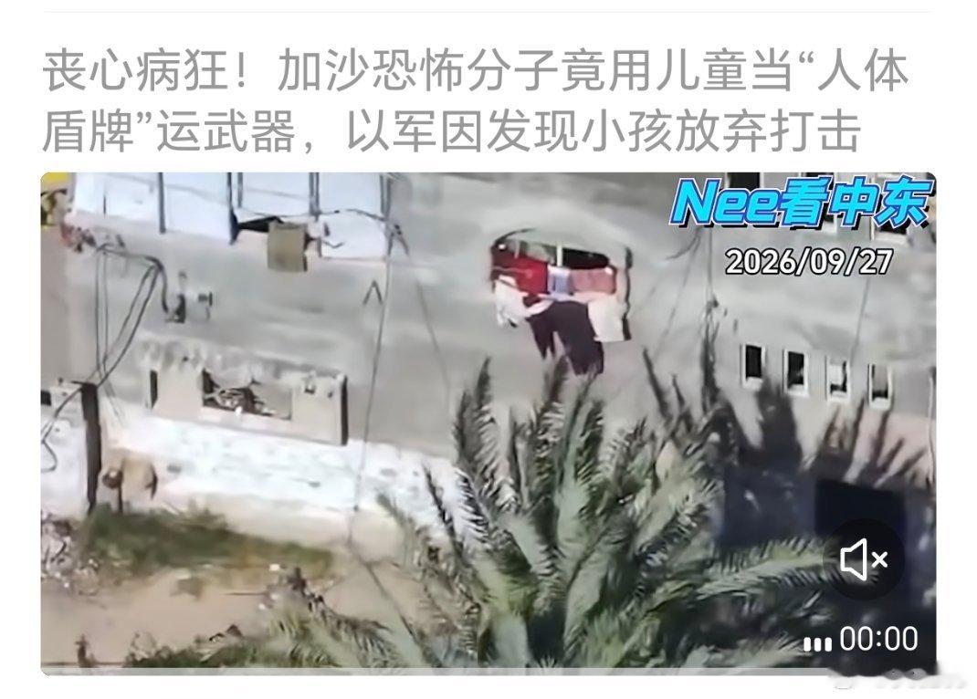 我比较想知道，以色列鬼子后来把用来摆拍的这个孩子怎么样了。希望鬼子拍完还能有点人性，放他一条生路。 ​