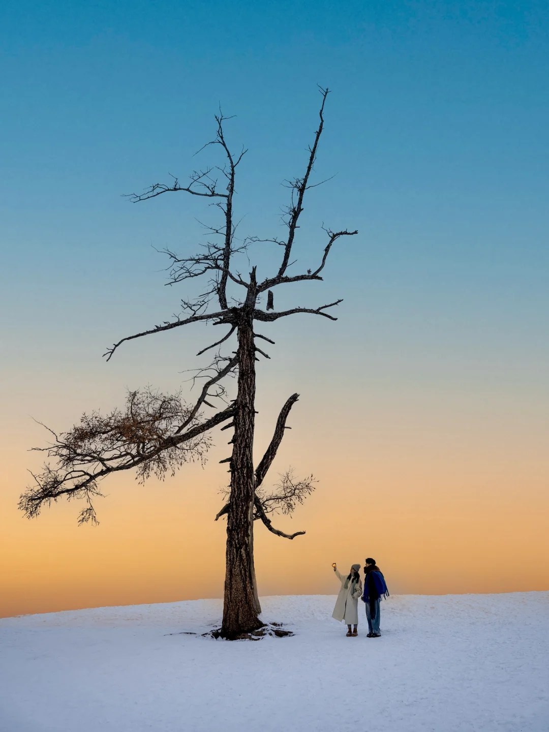 迄今为止我zui难忘的旅行｜新疆阿勒泰