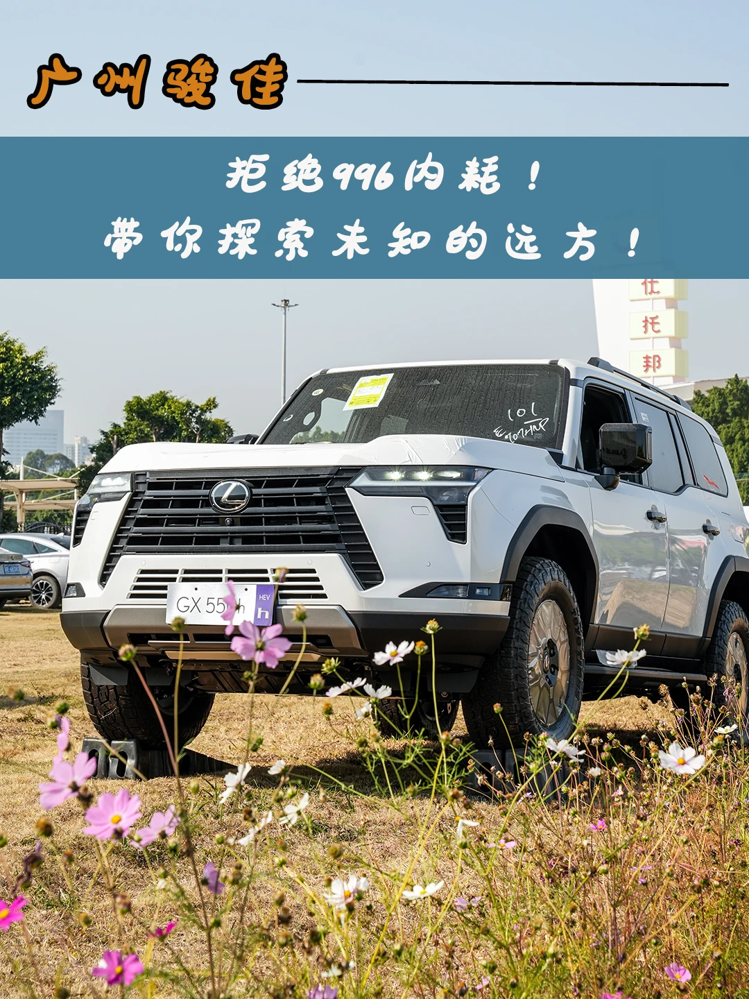 拒绝996内耗！带你探索未知的远方！