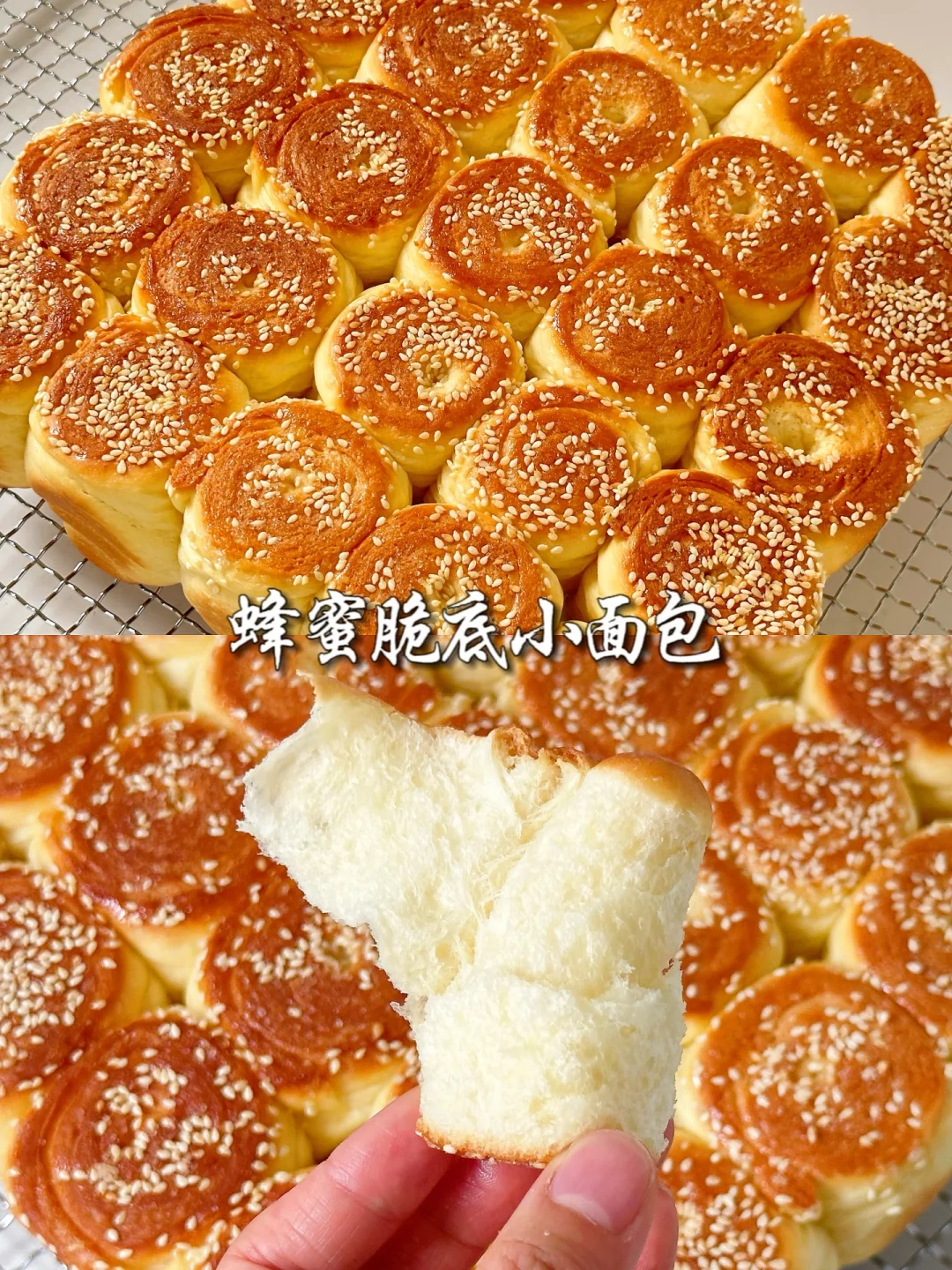 🍯蜂蜜脆底小面包‼️回味小时候的味道～