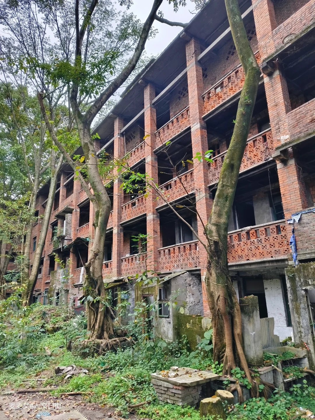 【大渡口】被时光温柔封存的老家属院