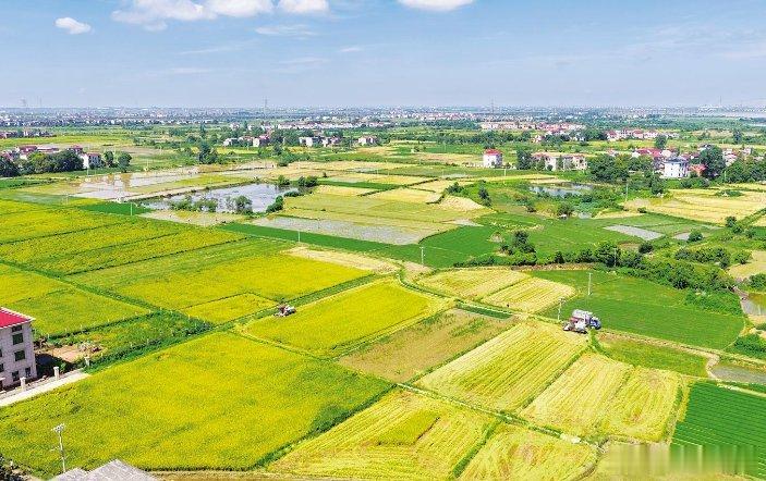 赣鄱“双抢”新景：从“挥汗如雨”到“智护粮仓”  ——南昌市现代农业转...
