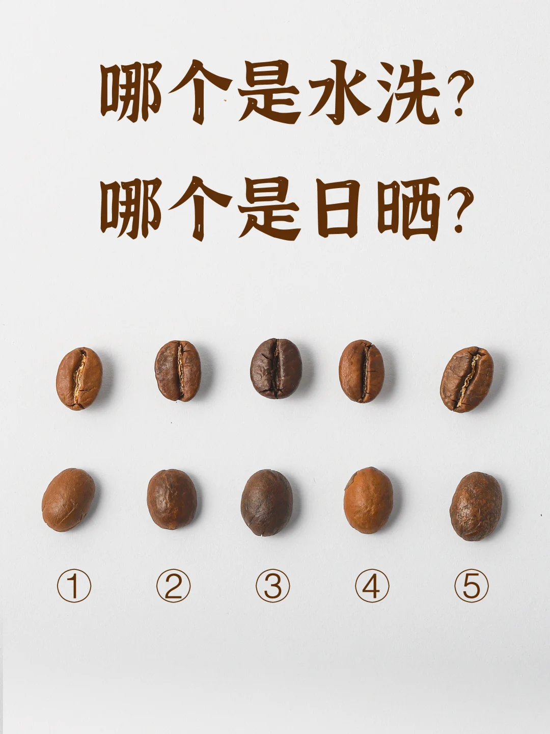 咖啡豆的水洗和日晒❗咖啡豆怎么区分怎么选