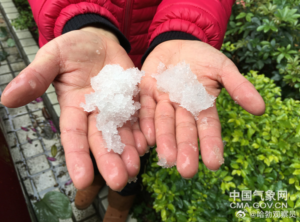 #广州今冬可能下霰#
霰（xiàn），气象上叫雪丸，是白色不透明、松脆的小圆冰粒，既不是六角形雪花，也不是坚硬冰雹，它的形成对高空、近地面温度层结要求极严 。老一代广东人习惯也叫“下雪”。
这篇报道提示“强寒潮扰动概率上升，存在极小可能出现霰”。新一代广东人就别误读成“广州要下雪”啦。
 ​