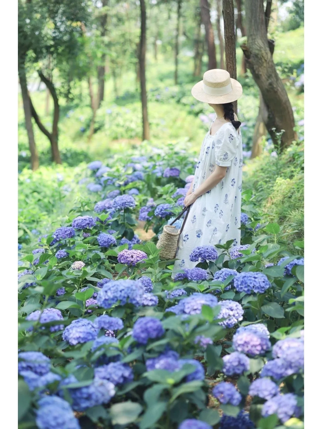 武汉无尽夏花海即将🔥5处绝美打卡地收好