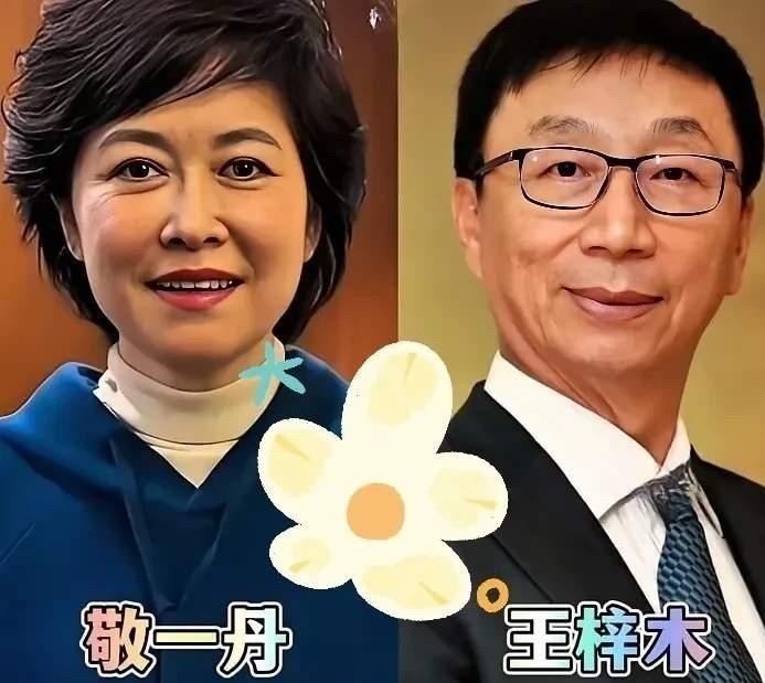 央视主持人敬一丹和王梓木、朱军和谭梅这两对夫妻，把夫妻相活成了知性与默契的同频。敬一丹是焦点访谈里沉稳有力的铁娘子，丈夫王梓木是经济学博士、华泰保险创始人，结婚多年低调得像没结过婚一样；朱军主持过多届春晚，妻子谭梅是舞蹈演员，几十年默默替他扛住后方。看他们站在一起的旧照，不是五官撞脸，是骨子里透出的