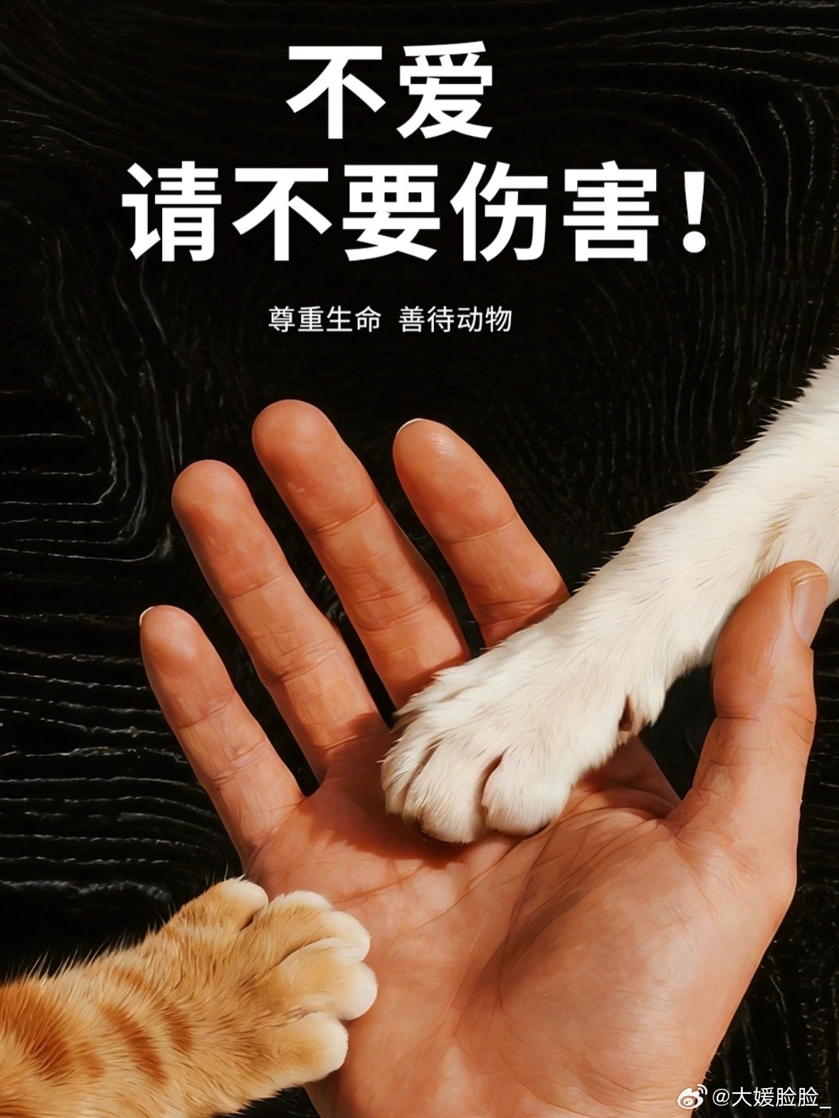 近日，一只边牧因看到路人扛着一捆白色水管而吓得疯狂逃窜的视频走红网络，这背后其实是主人日常用类似管子管教它留下的条件反射式恐惧。   一、事件乌龙：一捆水管引发的恐慌- 起因：10月19日，一段萌宠视