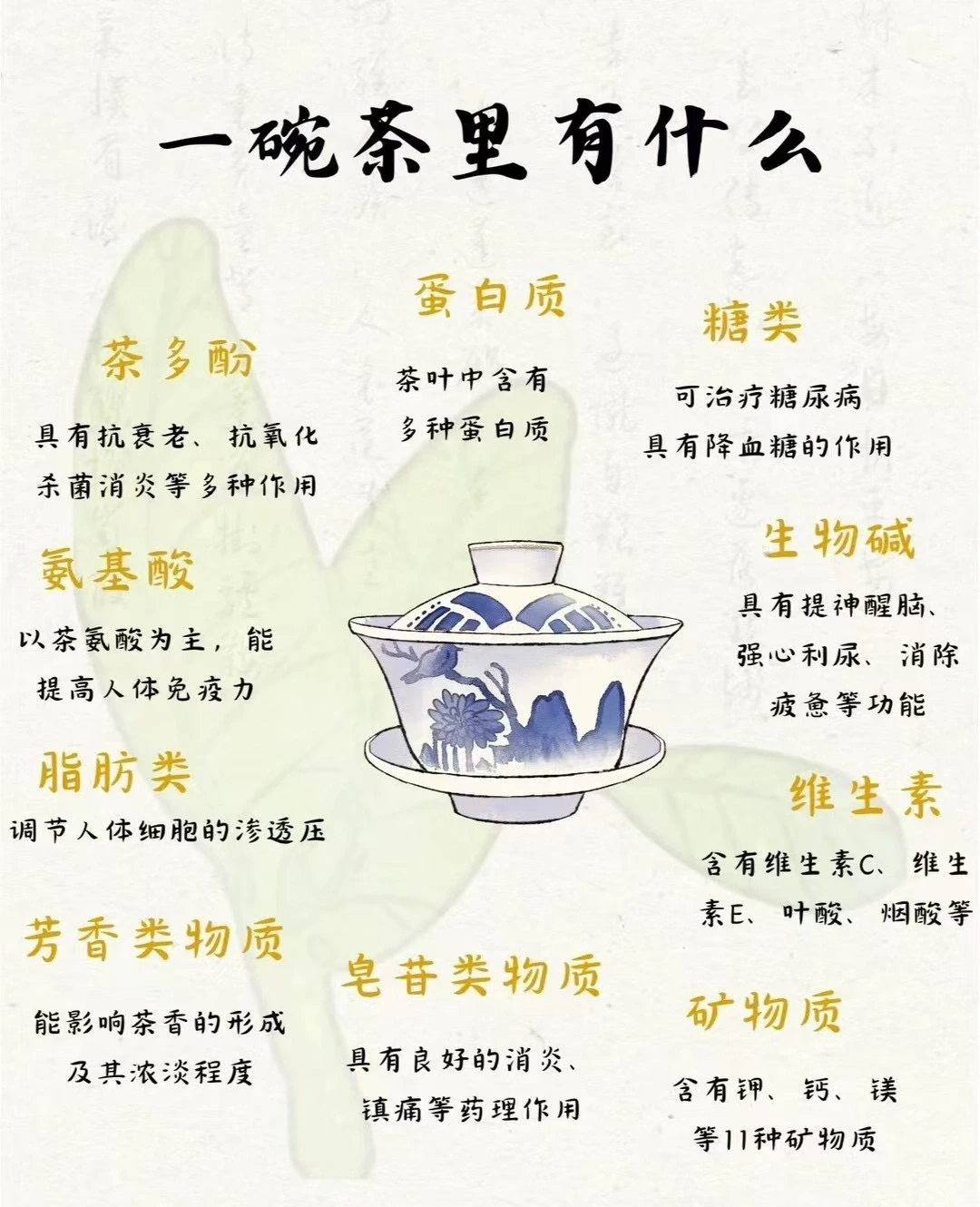 一杯茶里有什么，今天我来告诉你