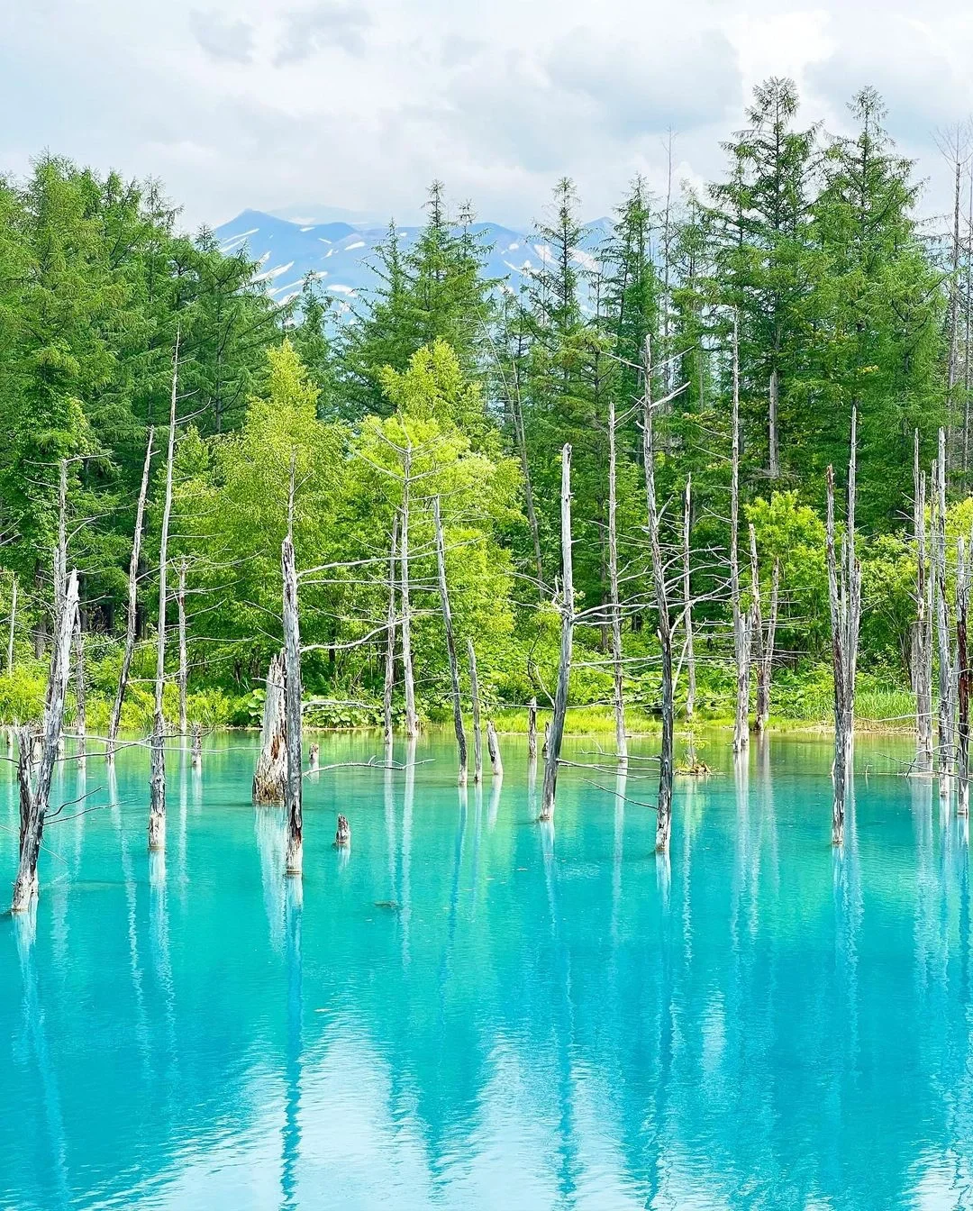 日本北海道|满眼Tiffany蓝，宝藏景点！