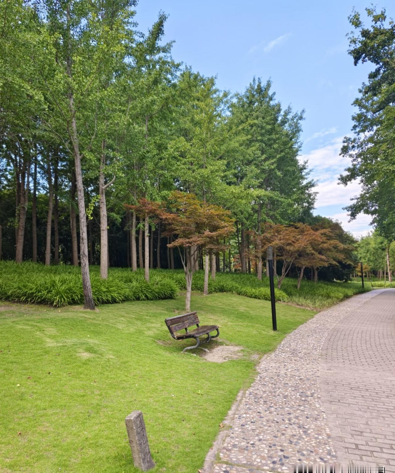 当一个60岁的丈夫连续三天夜不归，妻子心里难免打鼓。
 表面上，他白天...