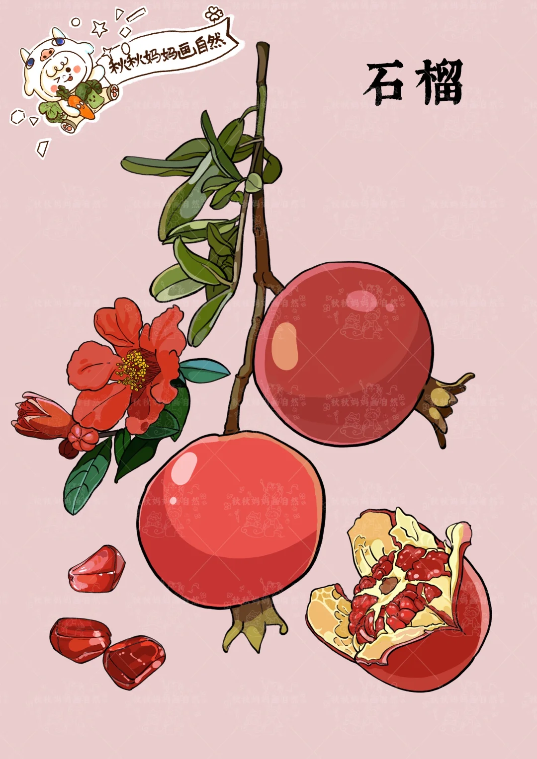 画给孩子的植物科普｜秋天的“多福果”石榴