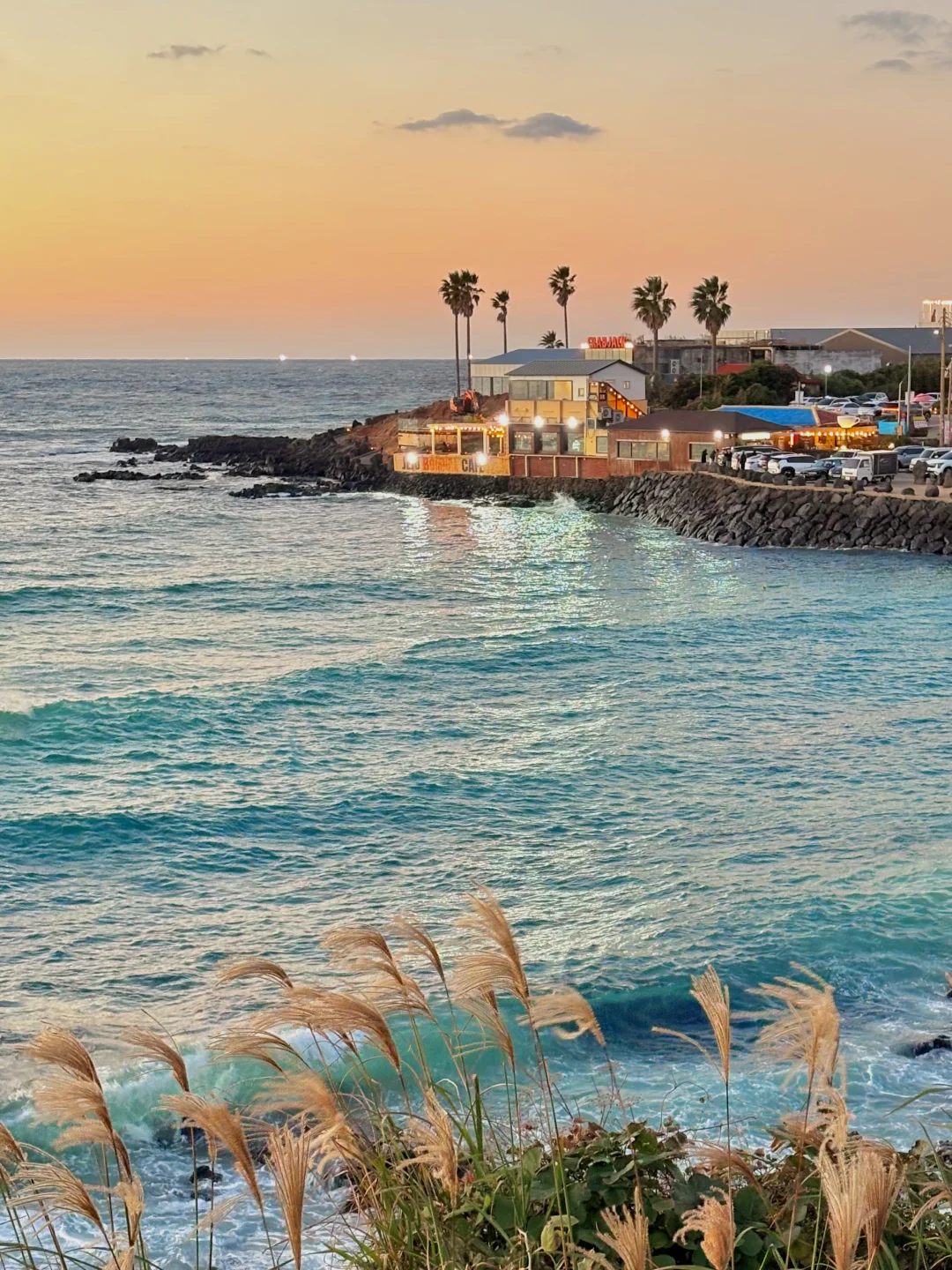 11月Live实拍，秋天的济州岛真的美疯了！