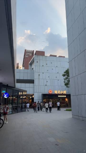这尼玛是华工国际校区 太豪华了吧 对比一下 五山简直是农村啊农村