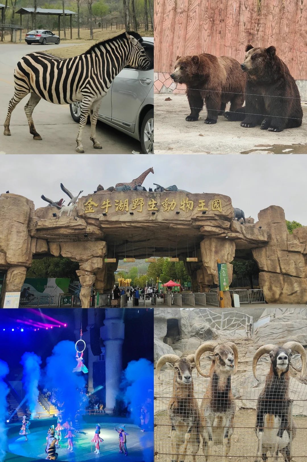 ❤6.24开抢|南京金牛湖野生动物王国免费啦！