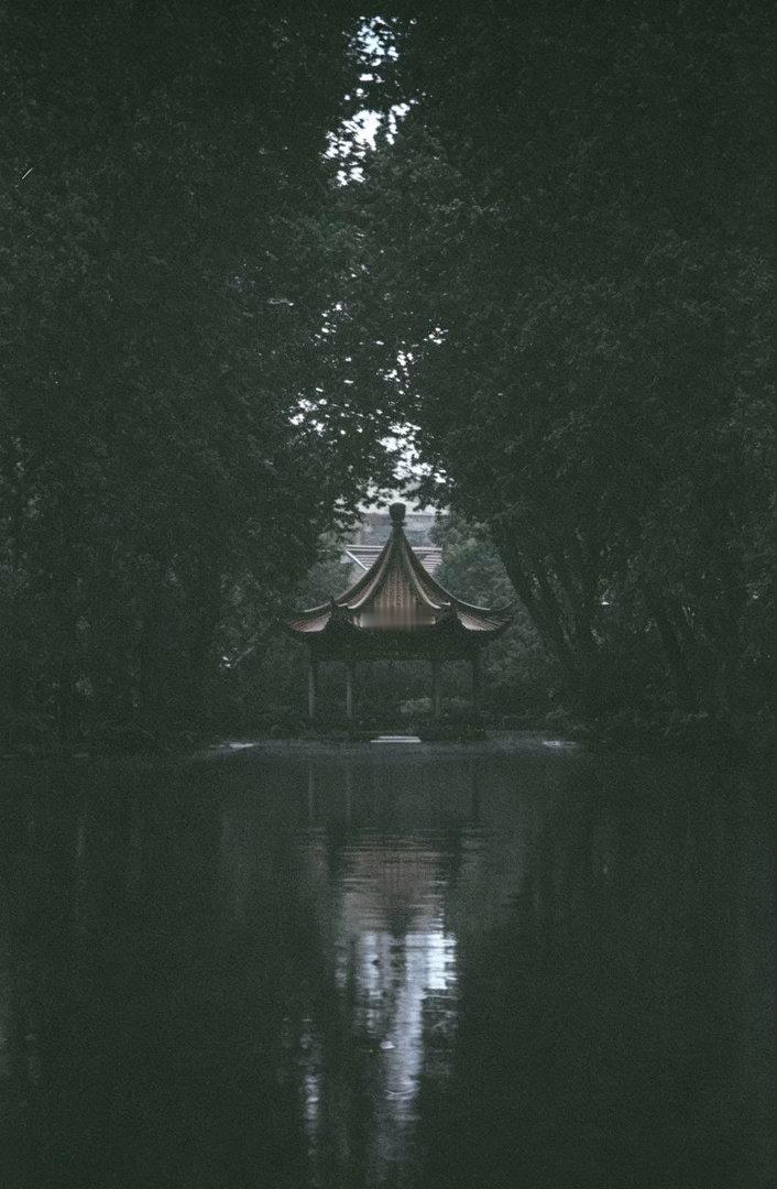 台风天 上海 连续第三卷欠曝 崩溃 连夜做功课 ​