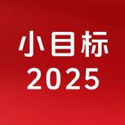小目标2025