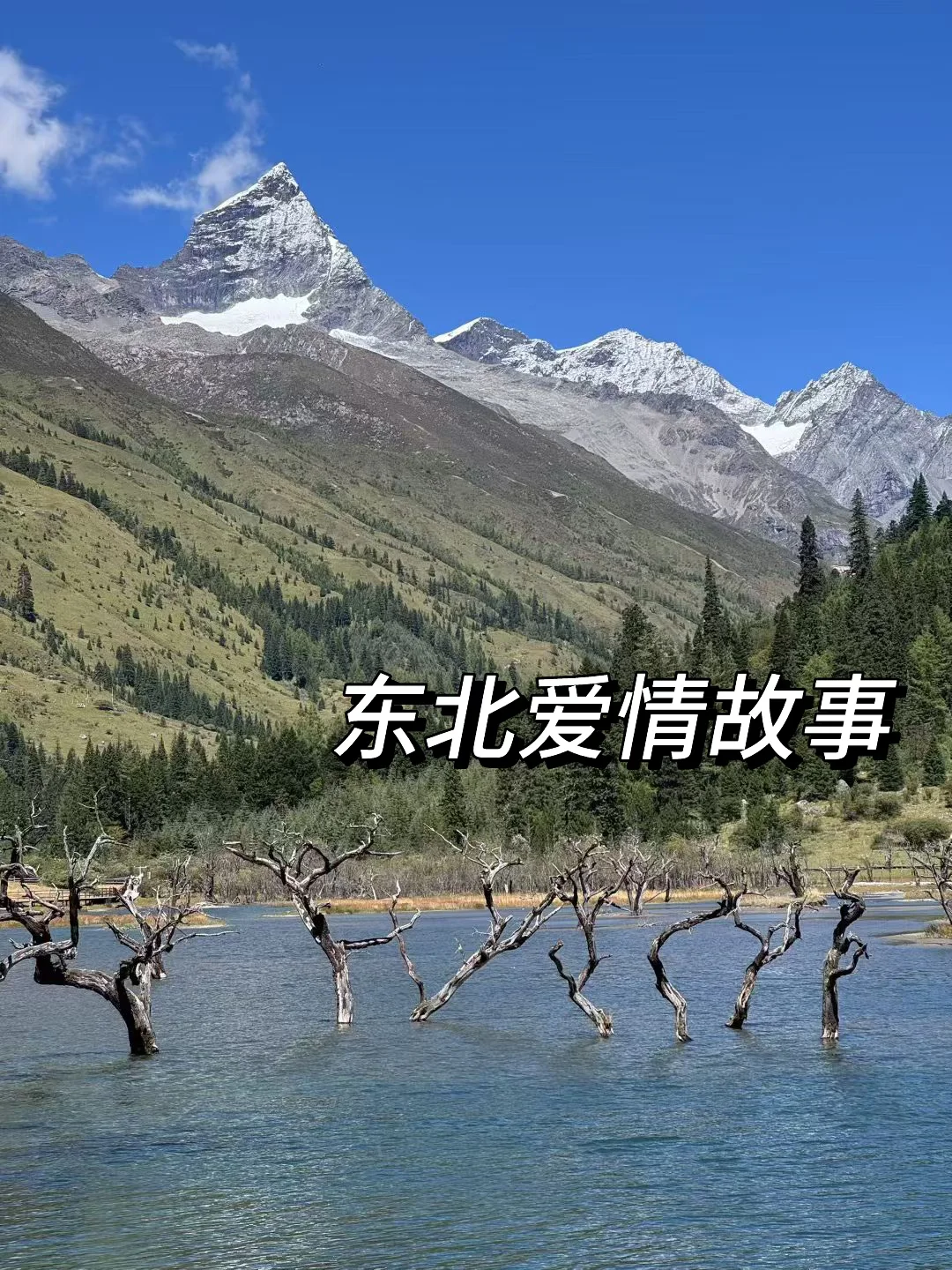 9️⃣本超好看东北爱情故事小说！