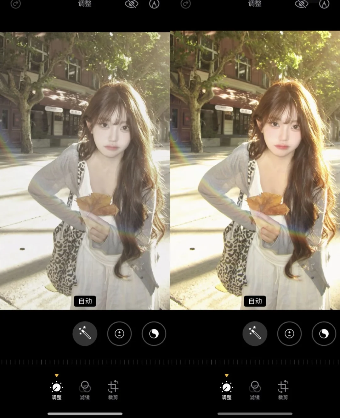 终于知道这种金色阳光怎么调了 好好看啊！