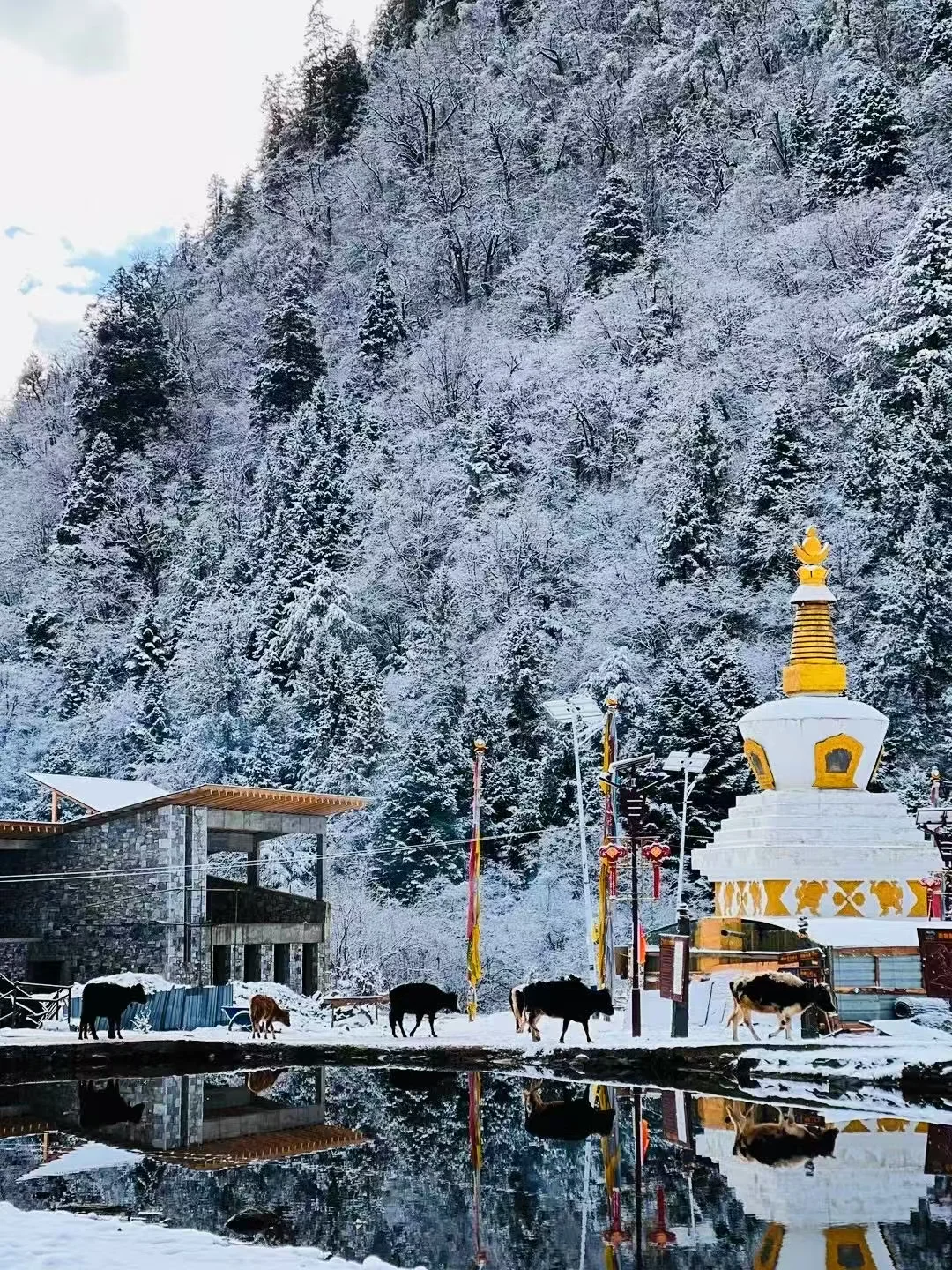 在雨崩！终于看到了日照金山！（附攻略）