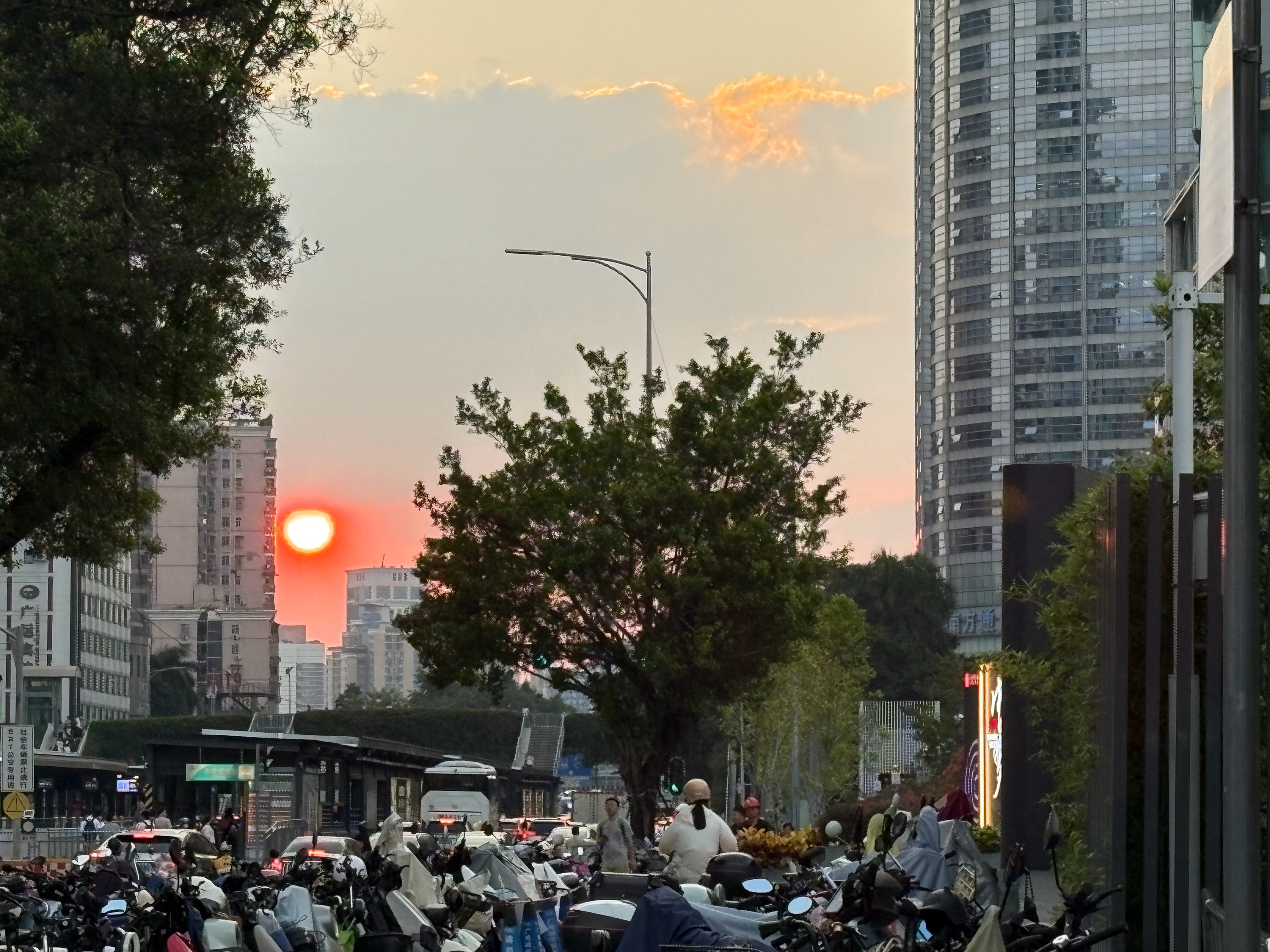 #pp的pplog# week11（上）
工作日吃完午饭踩单车去东山湖公园看风雨兰，可惜已经谢了一大半。逛公园的时候会恍惚，这真的是9月吗。新学了一个照片转胶布拼贴的skill，很适合做手帐插画。
好大的一颗蛋黄。
下班去天河公园散步，不同颜色的绿勾勒出不同的层次，很美丽。 ​