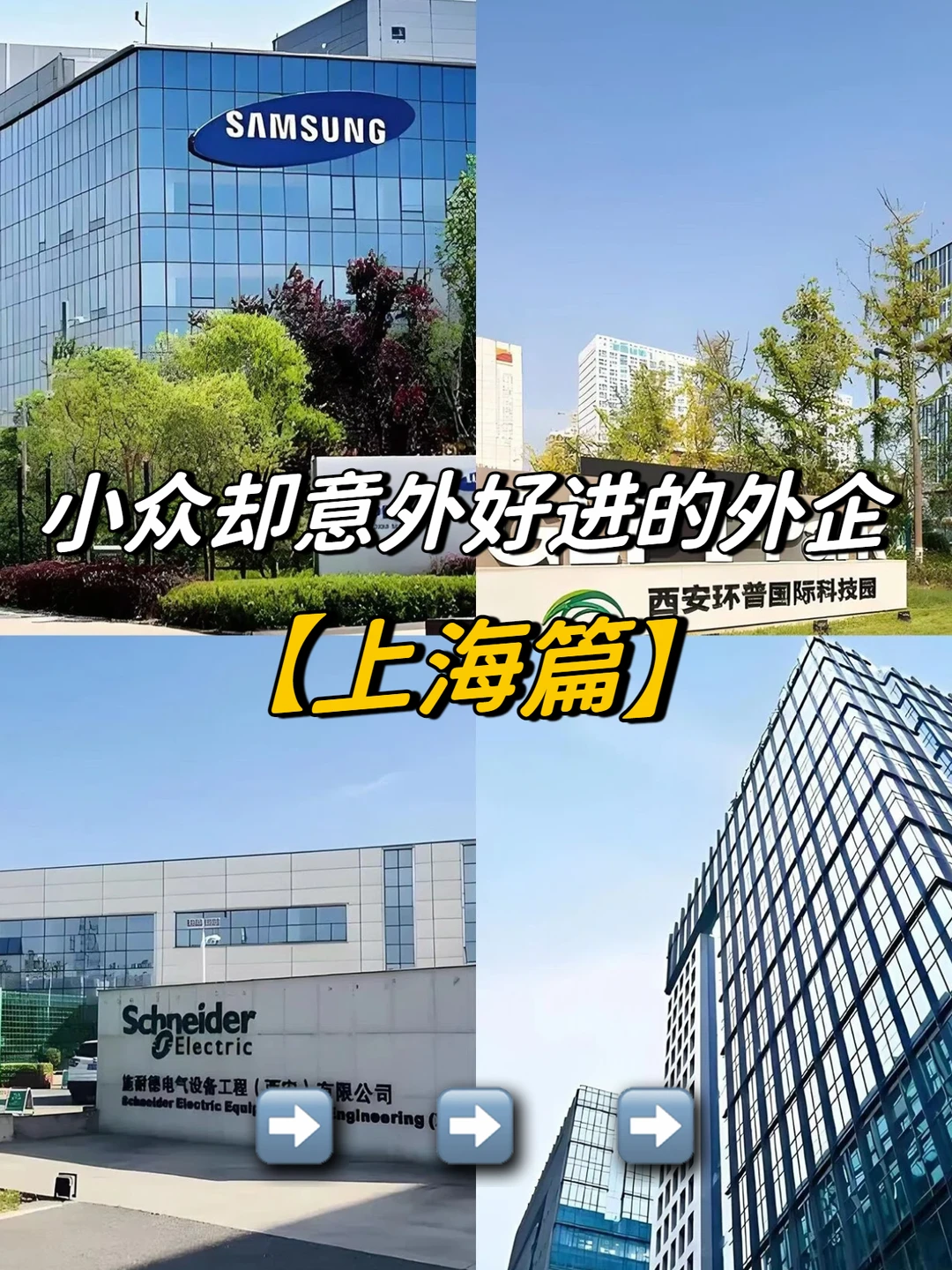 ✨上海那些小众却意外好进的外企