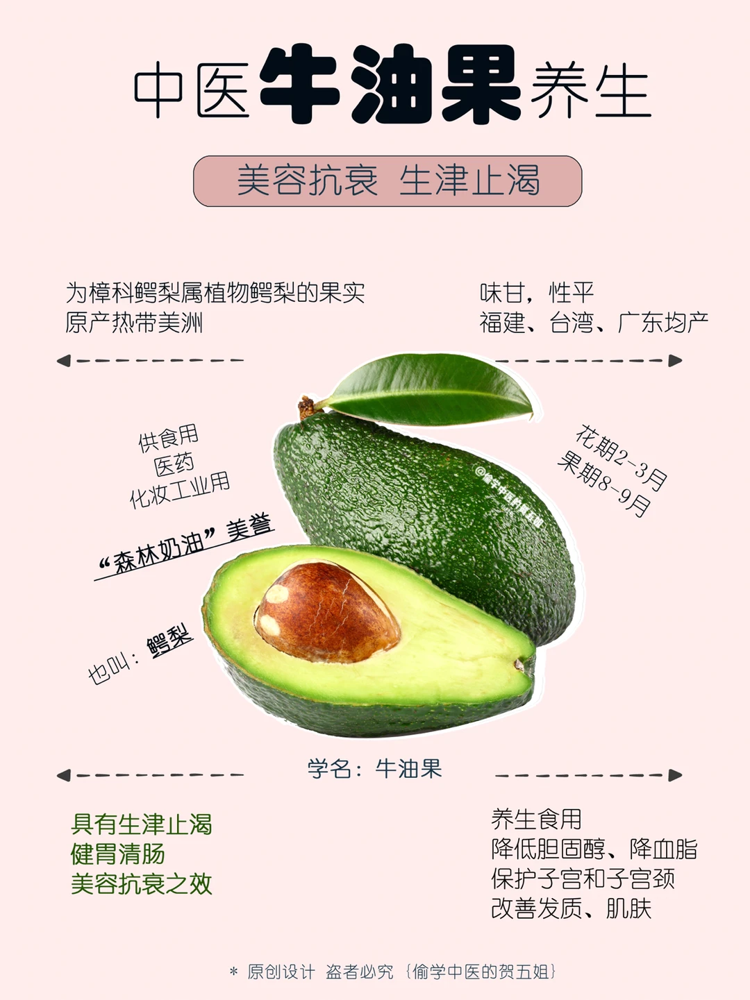 23养生课堂📝牛油果🌿美容抗衰 生津止渴