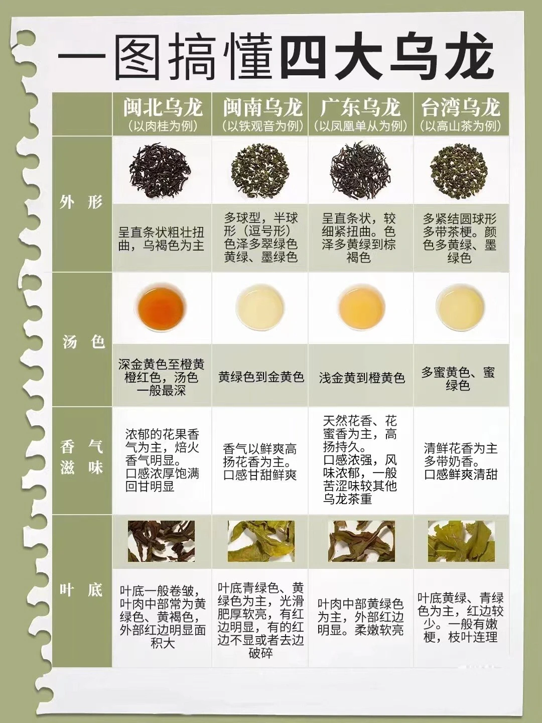 一图搞懂四大乌龙茶
