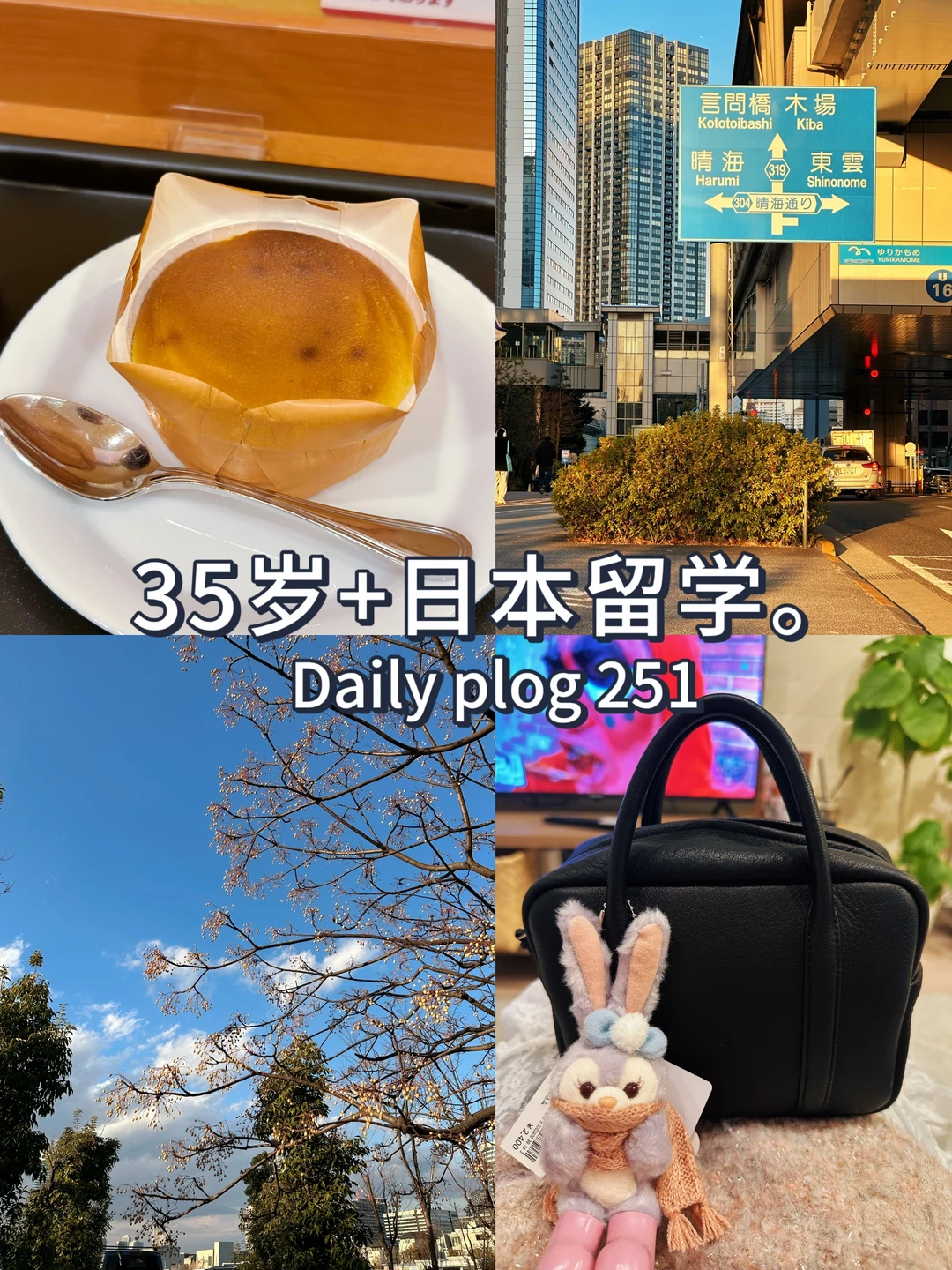 35岁+日本留学🎉开始习惯离开家过春节