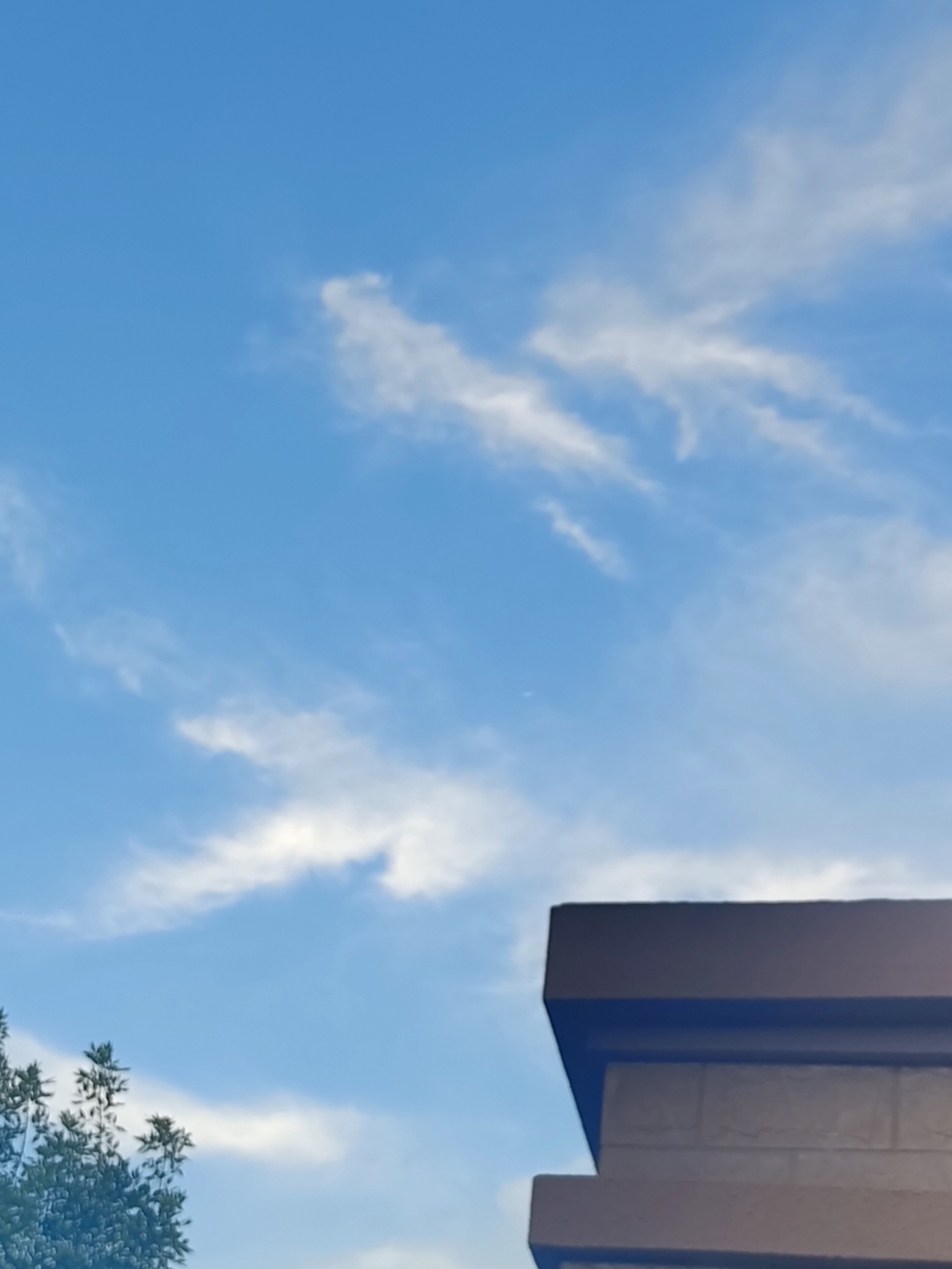 闲鱼涉黄产业链伸向未成年人今天的天气依旧有点热啊