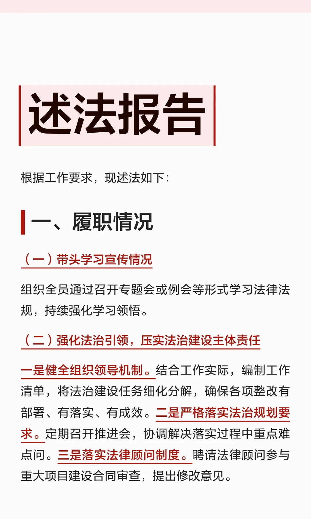 体制内：述法报告