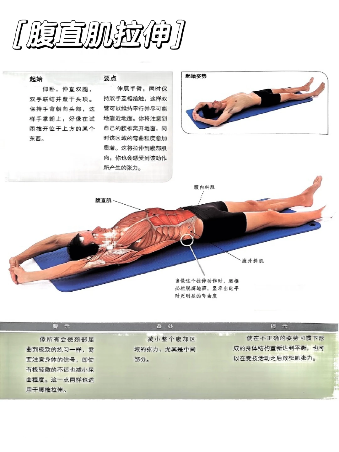 学习拉伸肚子 紧致腹部线条