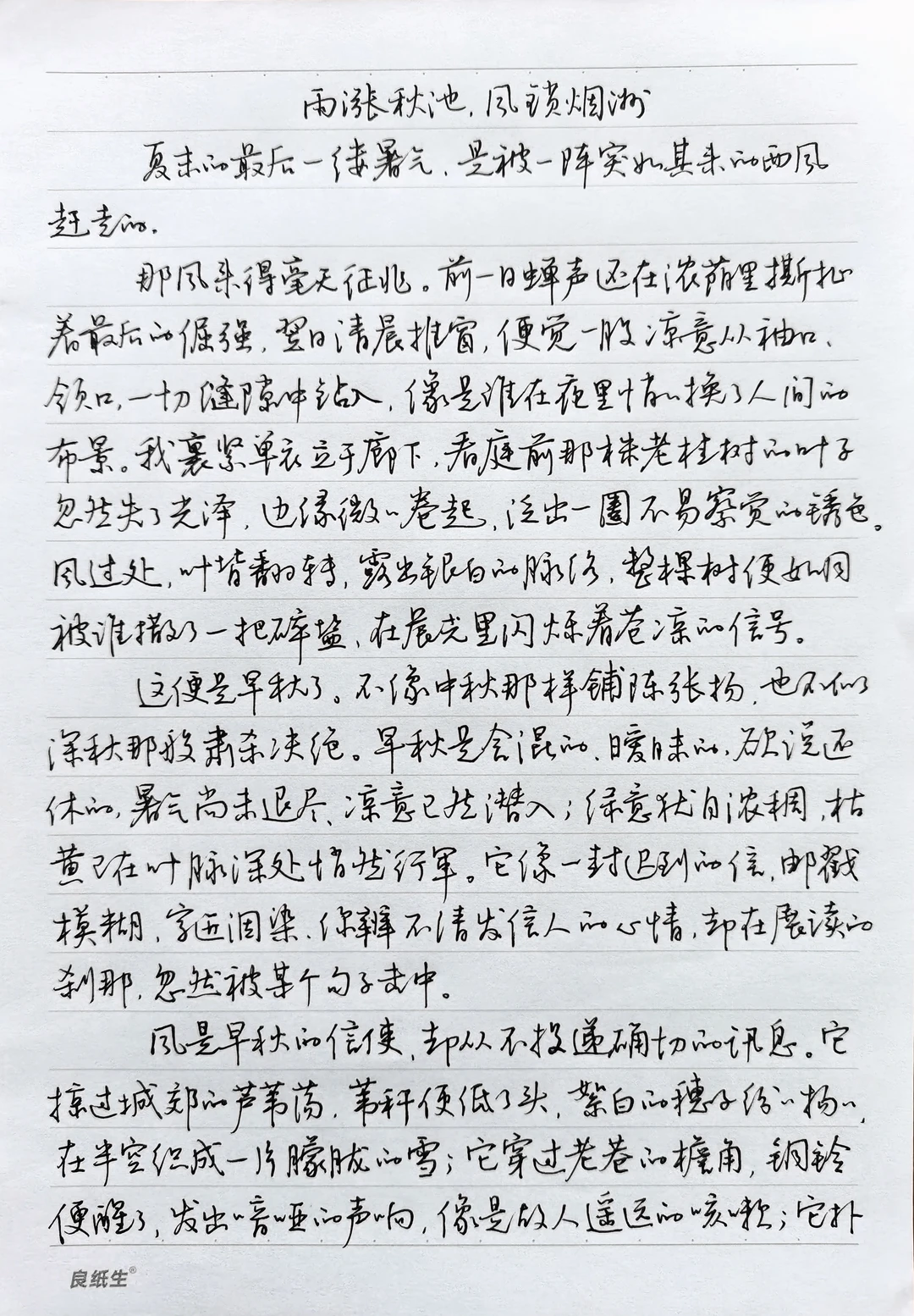 硬笔行楷手抄散文《雨涨秋池，风锁烟洲》