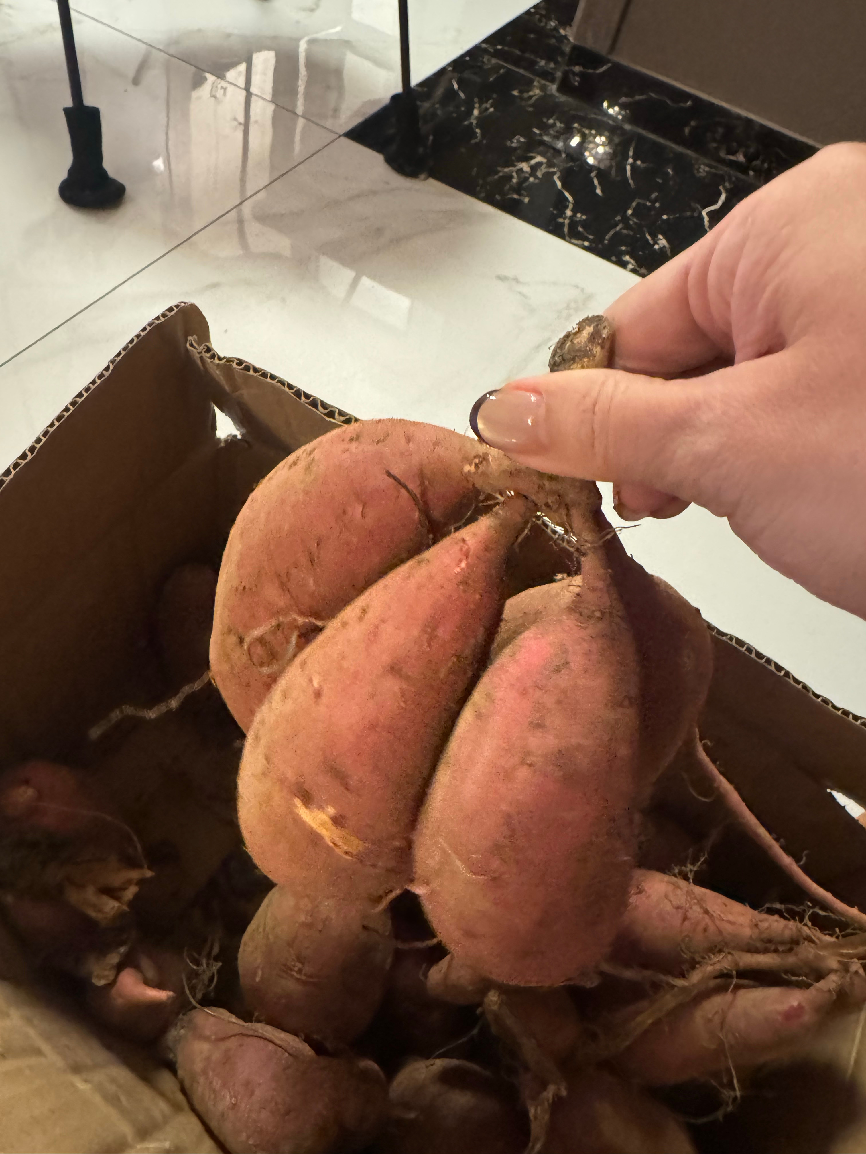 月嫂给我拿了很多她自己家种的菜不是装外国人我才知道红薯是连在一起的 ​​​