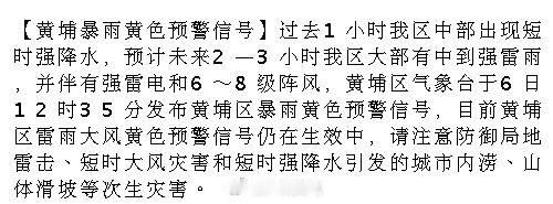 【黄埔暴雨黄色预警信号】过去1小时我区中部出现短时强降水，预计未来2—...
