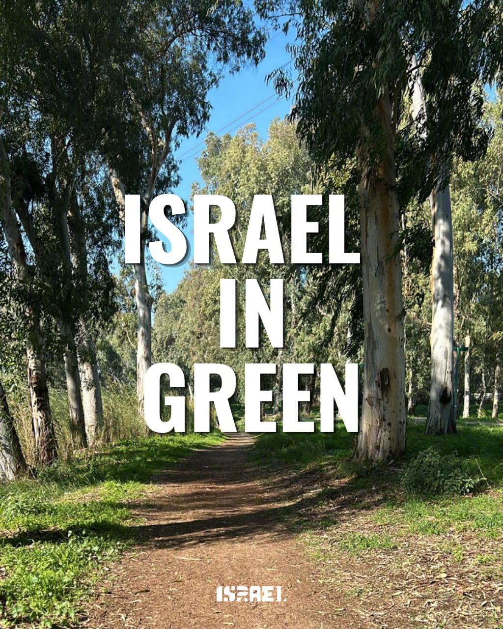 为您介绍“以色列色彩之旅”的首个主题色：绿色💚🇮🇱

从绵延起伏的丘陵到郁郁葱葱的田园风光，滑动屏幕，一同欣赏绿色的以色列。🌿 ​