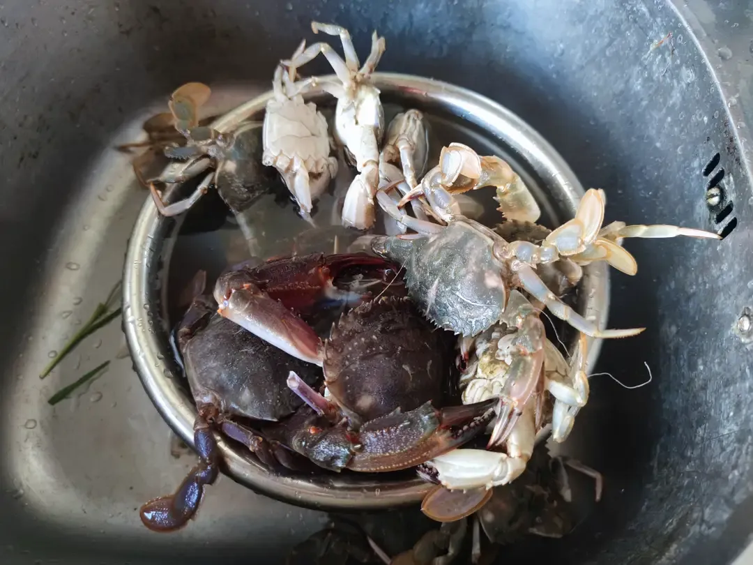 万万没想到！一直以为海鲜市场卖海鲜的称不准是常态，但是这售卖零食的商家竟然会出现缺斤短两的情况，这还是头一次听说。

近期爆出风靡全国的赵一鸣零食缺斤短两的事，这多少让人有些意外，毕竟这实体店长期经营，出现这种情况对于企业的声誉会造成极大的影响。

不过细思极恐！因为大家给孩子购买零食的时候，是很少