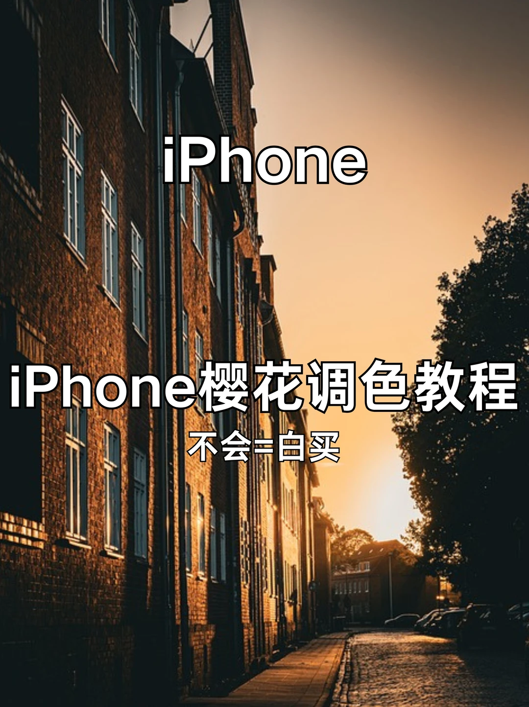 春日樱花🌸｜iPhone调色通透樱花粉美爆了