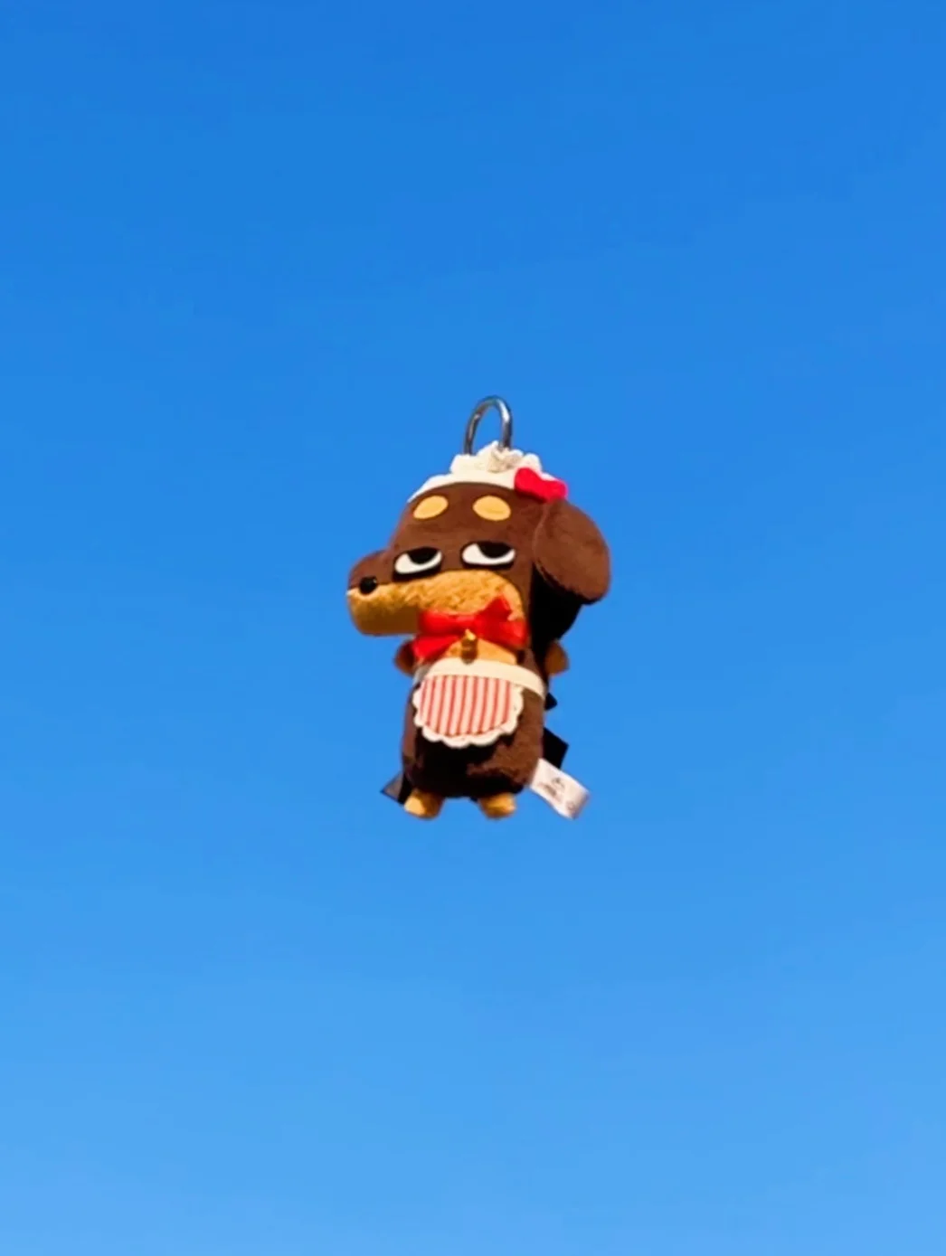 铁蛋我飞起来咯！！！