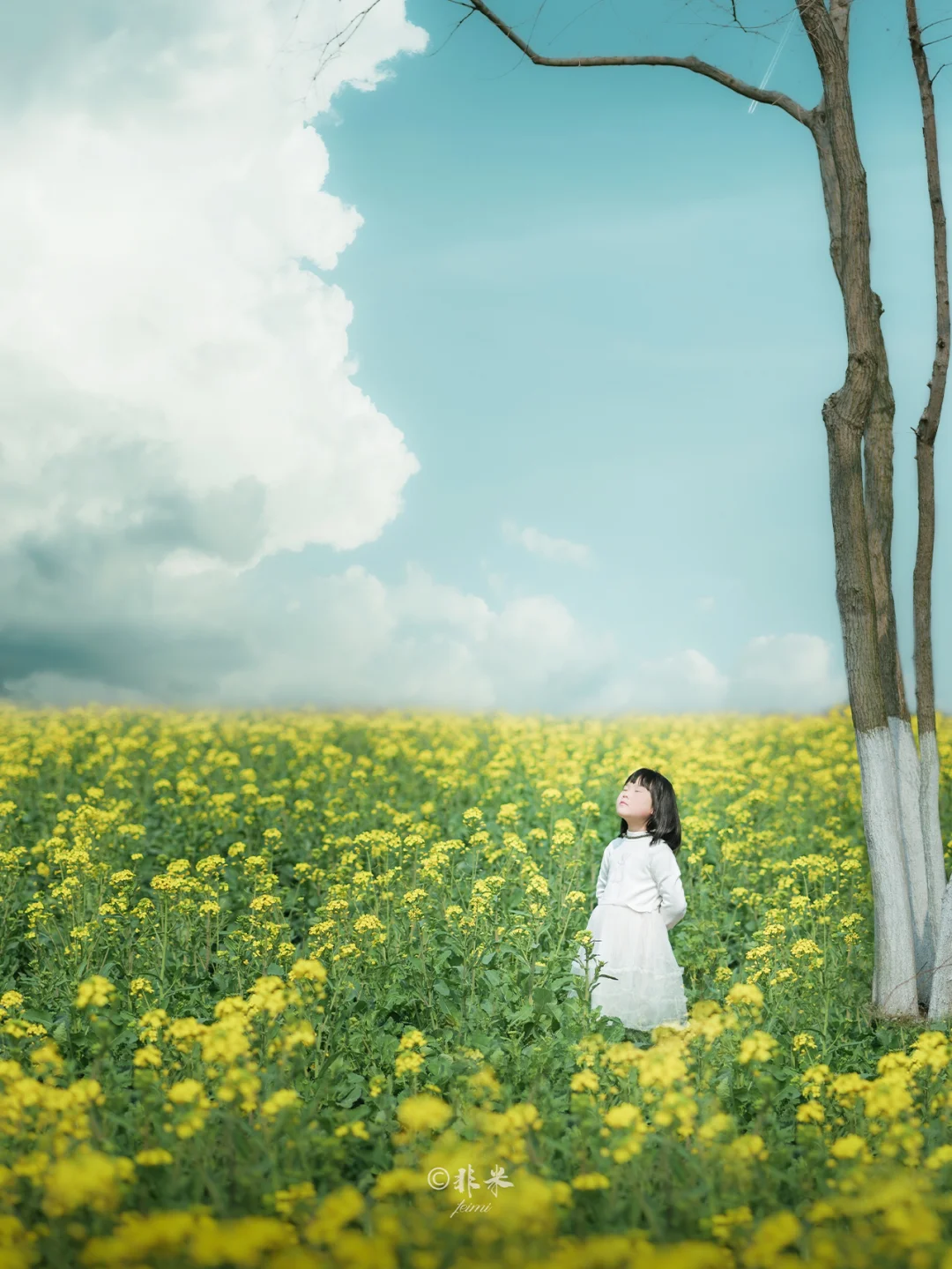 快乐谁懂❗️东湖的油菜花海，花都开了‼️